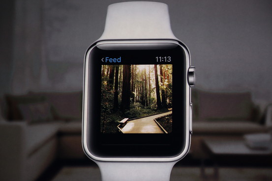 Instagram Apple Watch App